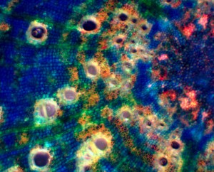 10x0.30.JPG