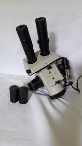 40LtgmJO5-M.jpg