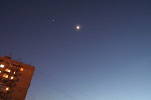 IMG_8206z.jpg