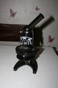 IMG_9377.JPG