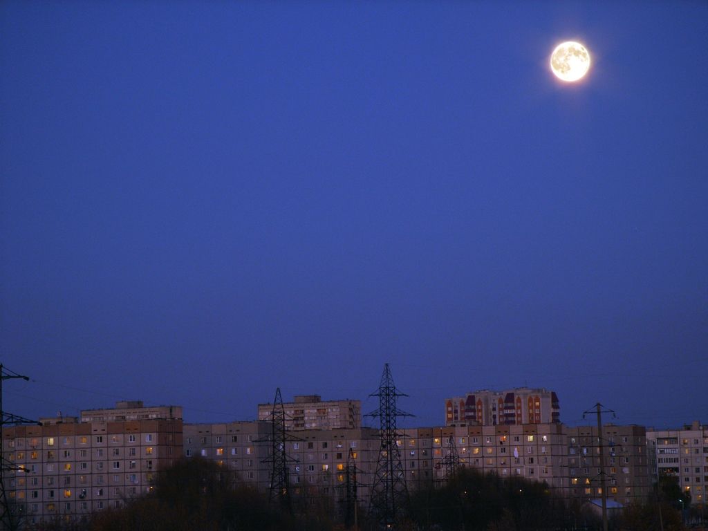 Фото 0.jpg