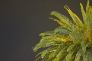 IMG_7448.jpg