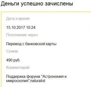 чек.JPG