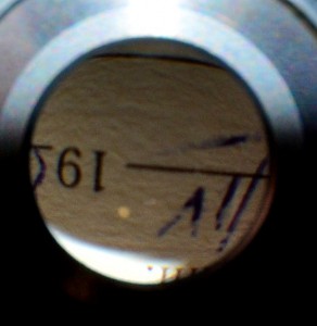 DSC_2410.JPG