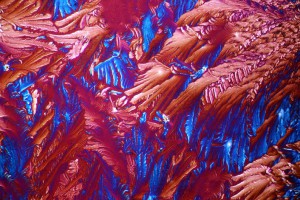 IMG_2586_Urez2.jpg