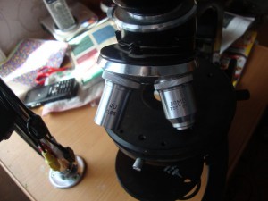 DSC07021.JPG