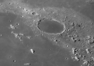 Plato_DMK31- 12-07-09 03-18-08 1.jpg