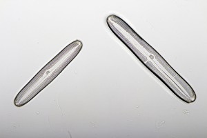 Тест2-2.JPG