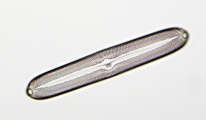 Тест8-2.JPG