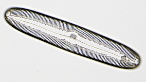 Тест11-3.JPG