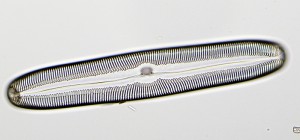 Тест12-4.JPG