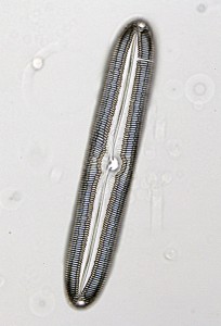 Тест19-2.JPG