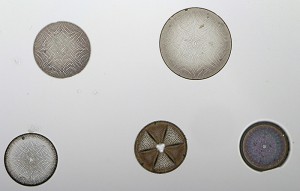 Франция1-4.JPG