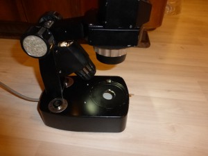 P1040892 (FILEminimizer).JPG