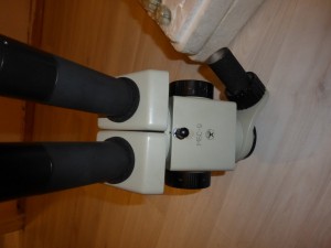 P1060017 (FILEminimizer).JPG