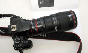 6_.jpg