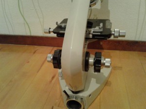 20180528_172950.jpg