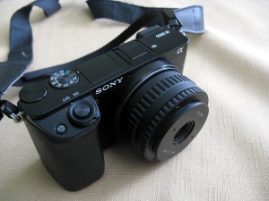 2IMG_8767.jpg