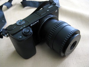 3IMG_8768.jpg