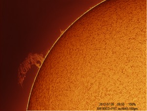 Sun_Ha_2012_07_26_094946_color_2.jpg