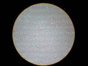 20180630_131118.jpg