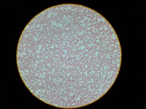 20180630_141549.jpg