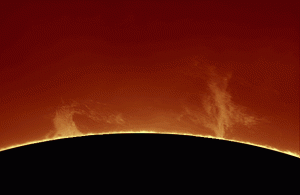 2012-07-28_prot-2.gif