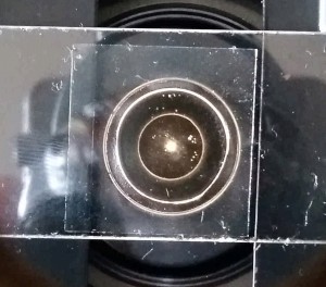 20180721_153007.jpg