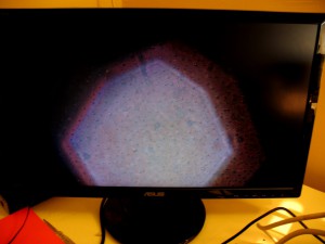 IMG_3261000.jpg