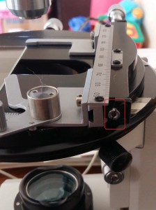 20180729_181047.jpg