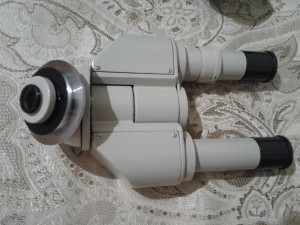 20180816_113146.jpg