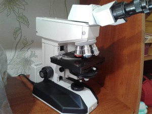 20180828_151835.jpg