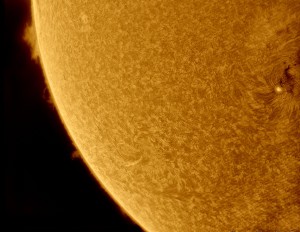 LR_11_21_49_fl+bl_4.jpg