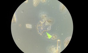 20181003_092458.jpg