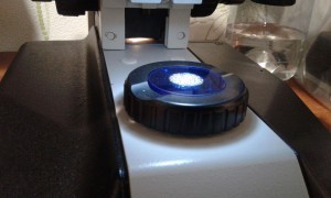 20181003_092236.jpg