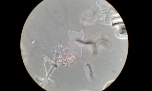 20181006_132940 (1).jpg