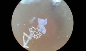 20181006_152316.jpg