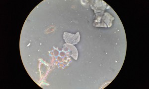 20181006_154630.jpg