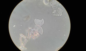 20181006_154257.jpg