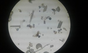 20181006_184004.jpg