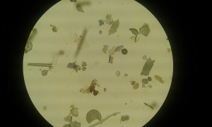20181006_184027.jpg