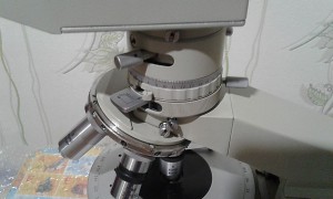 20181011_110525.jpg