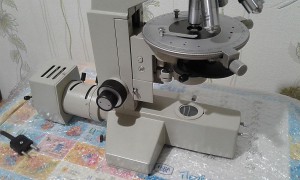 20181011_110332.jpg