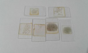 20181019_085801.jpg