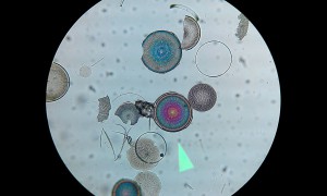 20180930_235147.jpg