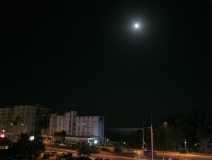 IMG_8813z.jpg