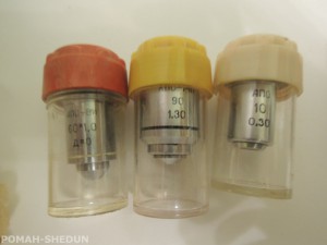 DSCN5529.jpg