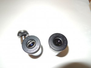DSCN5490.jpg