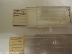 DSCN5519.jpg