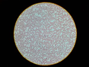 20180630_131354.jpg